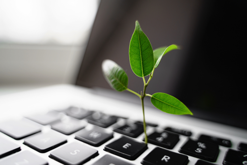 växt från tangentbord